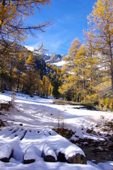 passerelle enneigée