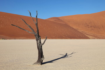 Dead Vlei Namib Wüste Sossusvlei Namibia