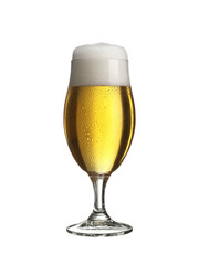 pilsglas freisteller