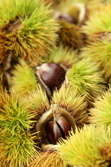 Chestnuts