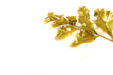 a branch of golden holly on white background