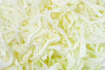 Close-up of a cut cabbage