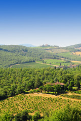 Fototapeta na wymiar Wzgórzach Toskanii
