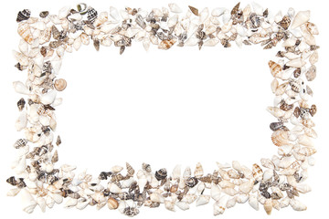 Shell frame on a white background