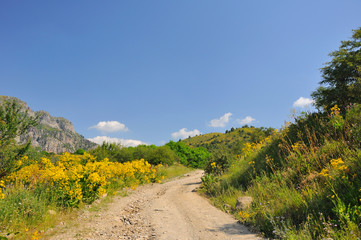 Rural mountain road