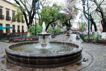 Gordijnen Fountain, Mexico © Stephan Scherhag