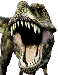 tyrannosaurus green defend close up