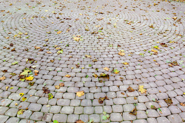 Paved sidewalk with autumn foliage