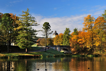 Golden Autumn Morning