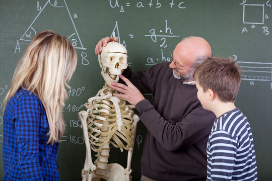 lehrer und schüler mit skelett