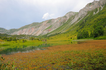 Sary-Chelek Lake