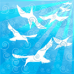 White birds swimming in the ocean