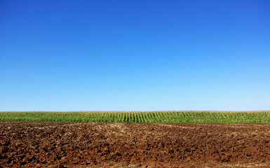 Cultivated field background.