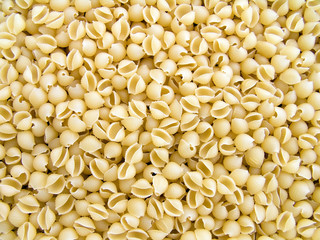 pasta cockleshell