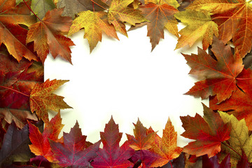 Naklejka na ściany i meble Maple Leaves Mixed Fall Colors Border