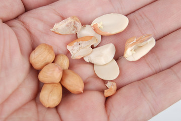 Peanuts