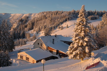 paysage hivernal au lac vert dans les vosges