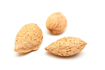 Three almonds
