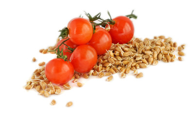 Tomatoes and Wheat grains isolated