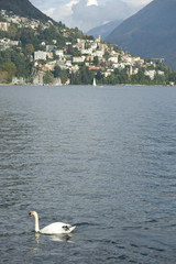 Lugano