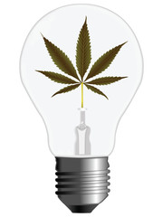 cannabis energy