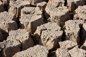 Cracked earth background