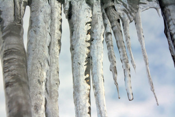 Big icicles
