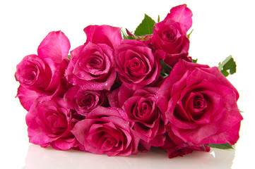 Pink roses
