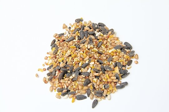 Bird seed mixture