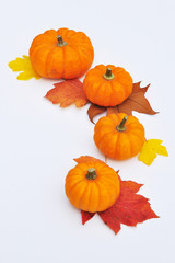 petites courges sur feuilles colorées