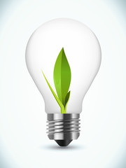 bulb ecology concept