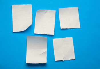 Scraps isolated on blue