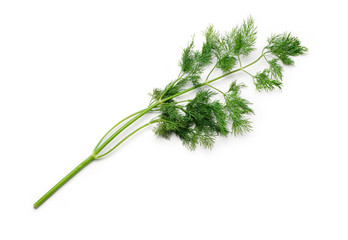 Dill isolated on white