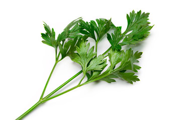 Fresh parsley isolated on white