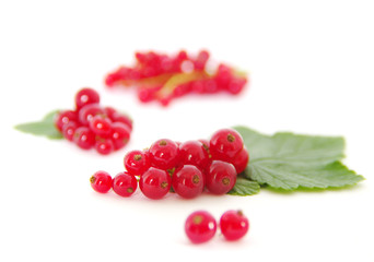 berry