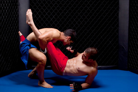 Mixed martial artists fighting - Powered by Adobe