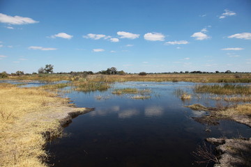 Safari Namibia - 27241653