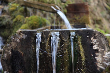 Three waters