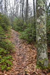 Hiking Trail