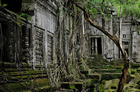 Beng Mealea temple in cambodia