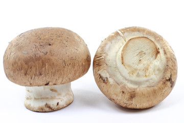 Macro picture of Organic Cremini mushrooms.