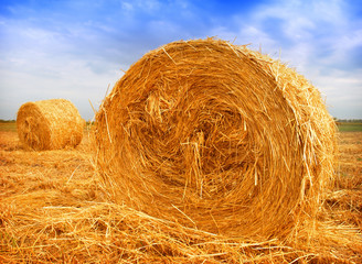 Bale of Hay