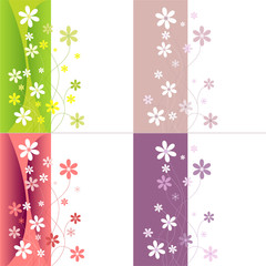 vector colorful flower set