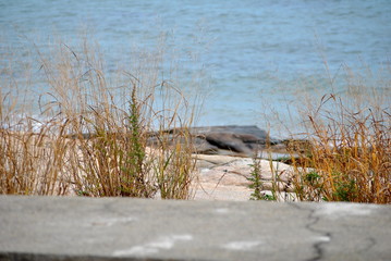 Fototapeta premium Close-Up at the Beach