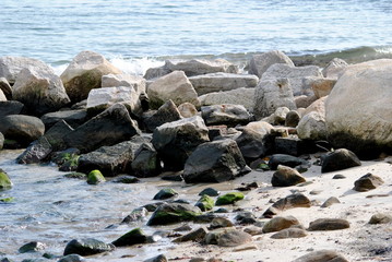 Rocky Shore