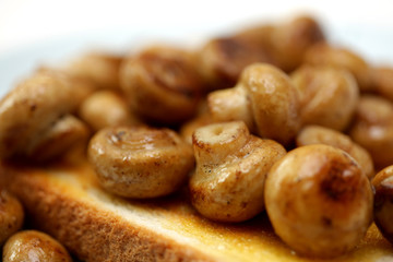 Mushrooms on Toast