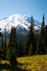 Top of Mt. Rainier in September