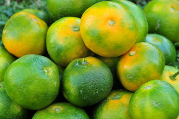 green mandarins