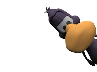 bonjour le canard © NJ
