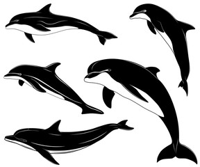 Fototapeta premium Zbiór różnych delfinów, tatuaż